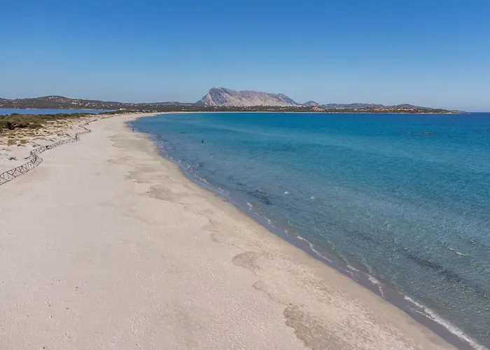 Quadrilocale Suaredda 度假居 圣特奥多罗