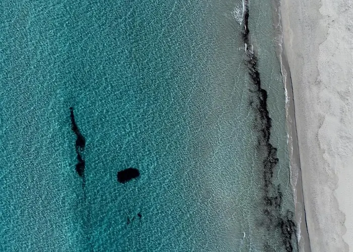 Quadrilocale Suaredda 度假居 圣特奥多罗